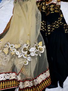 Heavy Net Saree