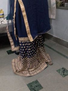 Embroidered Lehenga Choli Set