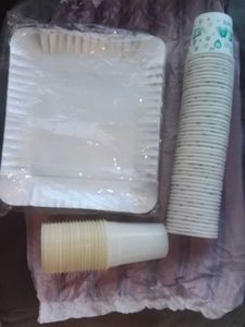 Disposable Paper Plates &amp; Cups