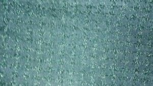 Green sparkly dress
