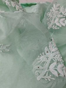 Mint Green Chikankari Suit Set