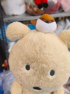 Cute Plush Bear Toy