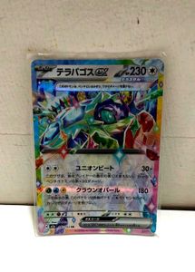Pokemon Card - Terapagos EX
