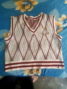 Argyle Knit Vest with Teddy Bear
