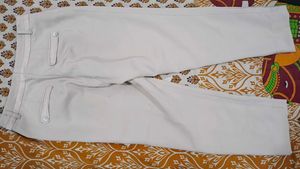 Stylish formal pants.