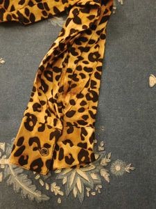 Roadster Leopard Print Top