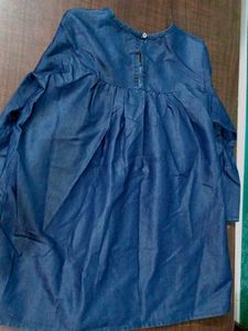 Denim Tunic with Embroidered Neckline