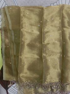Elegant Gold Embellished , mirror work dupatta
