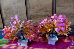 Vibrant Artificial Plant Set