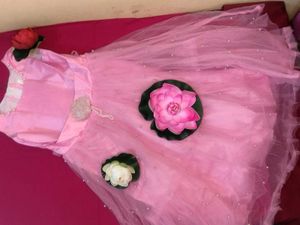 Stunning Pink Pearl Embellished Gown