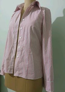 Striped fitted ButtonUp Shirt