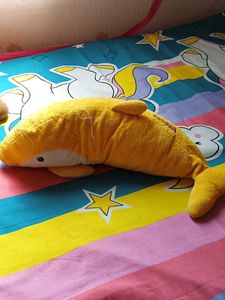 Soft Dolphins🐬