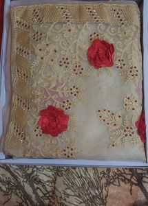 Beautiful Net Saree