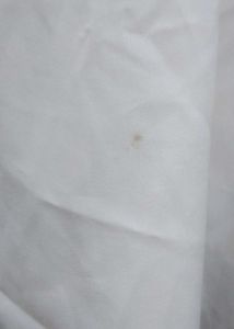White Ruffle Sleeve Square Neck Top