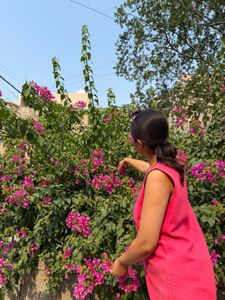 Coral Pink Sleeveless Dress