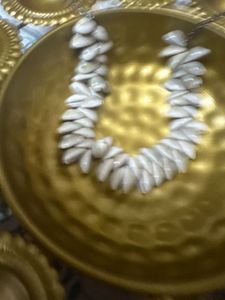 Unique Seashell Necklace