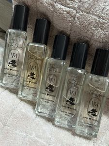 Set of 5 The Glow Glacier Perfumes