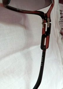 Ladies Branded Sunglasses