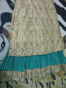 Ethnic gown