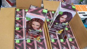 Garnier Color Naturals Hair Colo