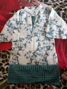 2 pis Embroidered Ethnic Kurta