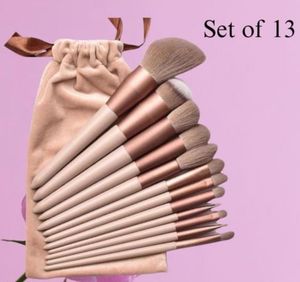 13 Piece Makeup Brush Set with Pouch