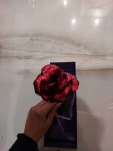 Love Red Golden Rose