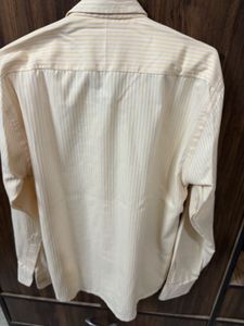 Striped Formal Shirt - GLOXN