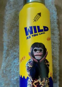 Cornitos Wild stainless steel Water Bottle