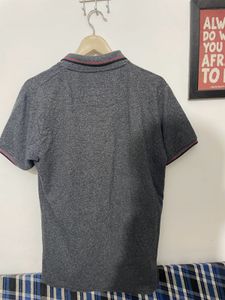 Polo Tee shirt