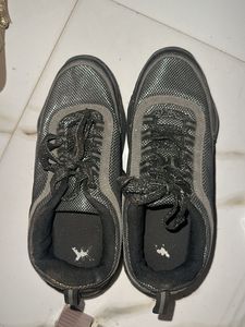 Stylish Women's Sneakers