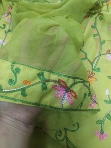 Parrot Green With Multi Thread Embroidery