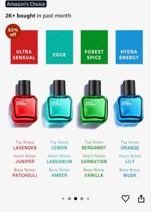Wild Stone Premium Perfume Set