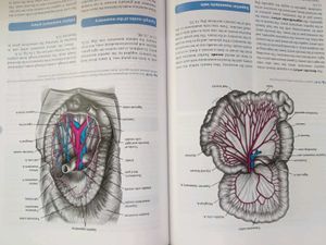 Cunningham's Manual of Practical Anatomy