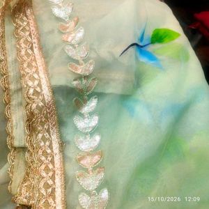 Stunning Pastel parrot multi Lehenga Ch