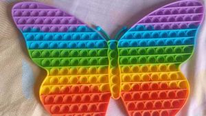 Butterfly Pop It Figet Toy|Rainbow Coloured