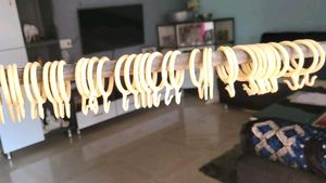 Curtain Hooks Rings