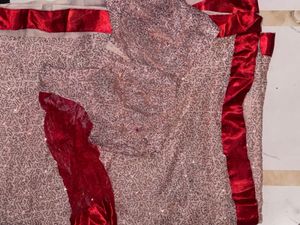 Stunning Sequined Saree with Red Border