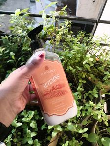 St. D'vence Body Lotion