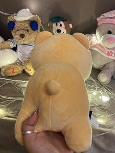 Adorable Bear Plushie with Star