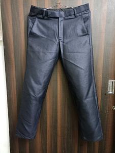 Stylish Navy Blazer Pant