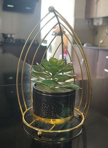 Modern Golden Metal Succulent Planter