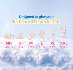 2 Packs Of 32 Little's Premium Diapers - M