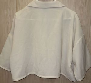 Chic Cream Collared Cropped Blouse