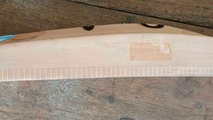 cricket bat