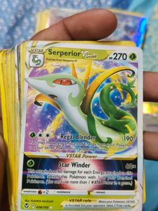 Pokemon Trainer Card - Friends in Galar