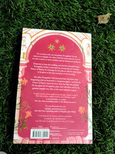 Once Upon a Broken Heart Book