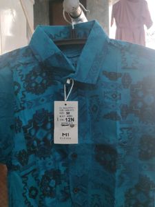 Stylish Blue Printed Shirt