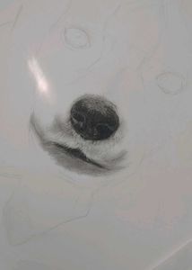 Cute Puppy Pencil Sketch