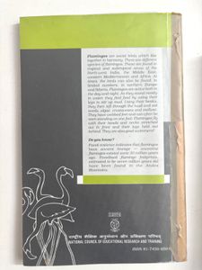 Ncert Class XII Textbook  Flamingo